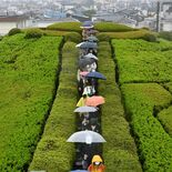 新緑の古墳、ファンら満喫　３市１町巡るバスツアー開催