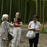 外国人から見て…日光・宇都宮観光はどう？　JNTO海外職員が視察、コン…