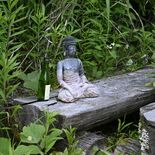 日光、林道脇の広場のベンチに謎の石仏　地主の男性ら困惑　「できれば引き…