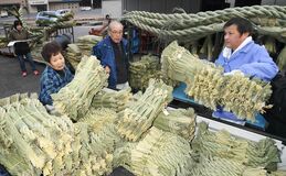 しめ縄出荷が最盛期　塩谷