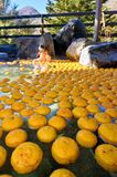 鬼怒川・川治温泉で「ゆず湯風呂」