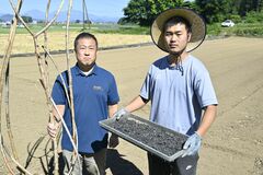 キャッサバ芋に着目、環境に優しいバイオ炭に　矢板の増田農園と大学院生が研究、農業活性化へ挑戦