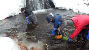 きょうから４店 寒ざらしフェア