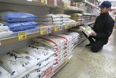 コメ政策、先祖返り鮮明