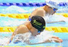 藤吉(ビッグツリー)3冠