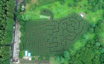 トウモロコシ畑の巨大迷路　那須塩原