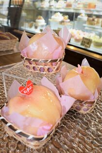 【ミヤコレ】パティスリーコジマ