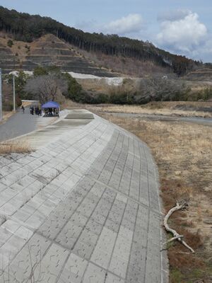 復旧工事で強化された思川の堤防