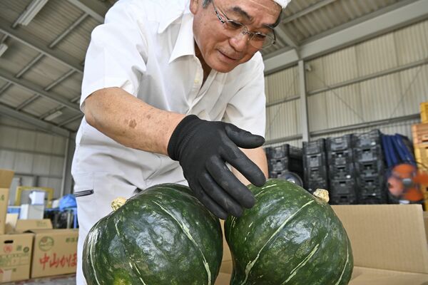 中山かぼちゃの規格などを確認する部会員
