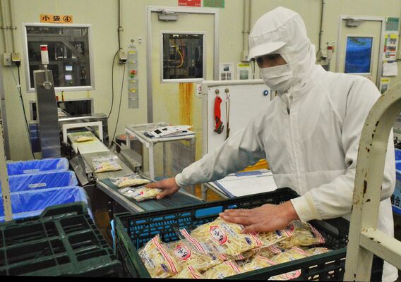 モヤシの出荷作業を進める上原園の従業員＝８日午後２時半、栃木市都賀町家中