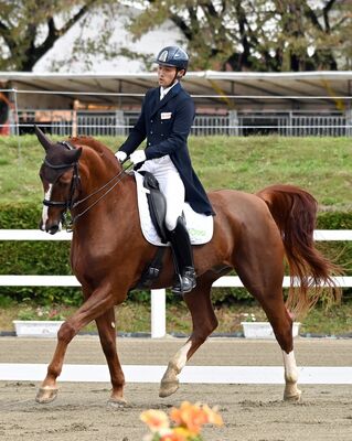 馬術成年男子自由演技馬場馬術　ファーストオリバー号に騎乗し、同種別で県勢初優勝を果たした鈴木＝８日午前９時25分、那須塩原市の地方競馬教養センター