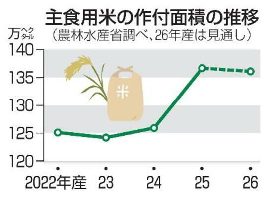　主食用米の作付面積の推移