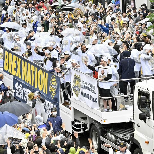 img_2d09a0a2202f0f2bfd64603e49