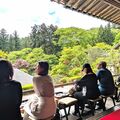 新緑を眺めながら和紅茶に舌鼓　大田原の名刹・雲巌寺で縁側カフェ