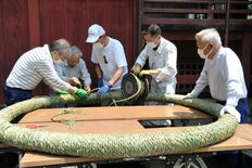 氏子ら守る伝統作業　鹿沼で茅の輪作り