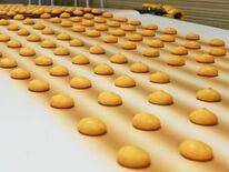 かわいいお菓子工場に潜入　年間400～500種類　じっくり手間暇かけた…