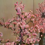 繭玉使った花や動物　クラフト100点を展示　那珂川で12日まで