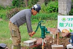 能登地震の解体跡地菜園に