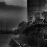 第30回下野新聞紙上写真コンテスト-入賞作品-