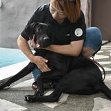 症状緩和や不安解消 助けるワン　障害者癒やす「エモーショナル・サポート・ドッグ」　宇都宮の支援事業所が導入