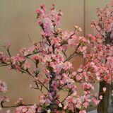 繭玉使った花や動物　クラフト100点を展示　那珂川で12日まで