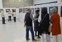 「花」をテーマに写真と絵画展示