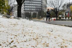 県内で降雪