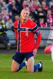 ハーランドら選出、ノルウェー
