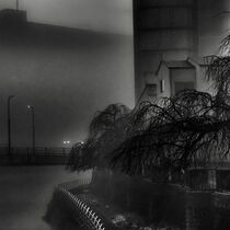 第30回下野新聞紙上写真コンテスト－入賞作品－