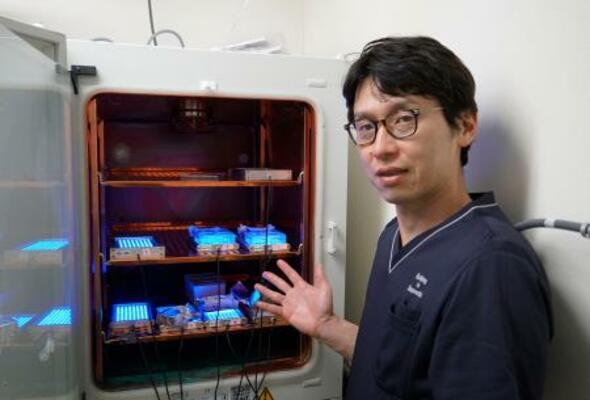 青色LEDを使った悪性腫瘍の新たな治療法の開発に取り組む徳島大の西庄俊彦准教授