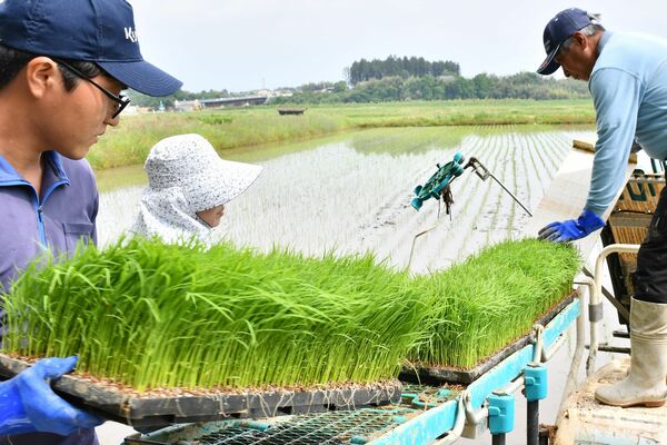 「夢ささら」の田植え作業に汗を流す高瀬さん一家