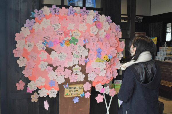 桜の木を模したメッセージツリーを見つめる高校生