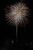 黒羽の夜空を色鮮やかに彩った花火＝15日夜