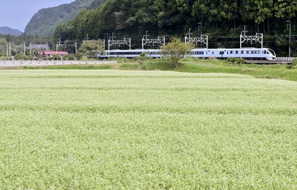 一面に広がるソバの花畑とスペーシアＸ＝25日午前９時30分、鹿沼市下遠部