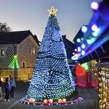 真岡市中心部を彩るイルミネーション　７ｍツリーに名物イチゴの電飾も