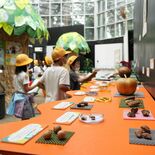 岩舟のとちぎ花センターで「木の実とタネ展」　五感に焦点、来月まで