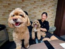 深夜でも人工芝を思い切りダッシュ！