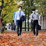 「立冬」前に...栃木県内９地点で20度超え　最高は小山で10月上旬並み
