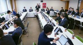 再審政府修正案、自民了承見送り