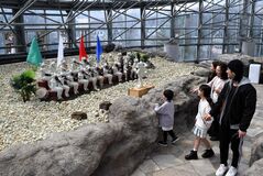 宇都宮・ろまんちっく村に「無事カエル館」オープン　ユーモラスな大谷石彫刻ずらり
