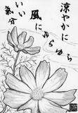 情報募集中