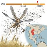 ３０年足らず、姿消す