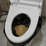 土に埋める携帯トイレに注目 1~2年で堆肥に 災害時のトイレ問題解決狙う 「コンポストイレ」