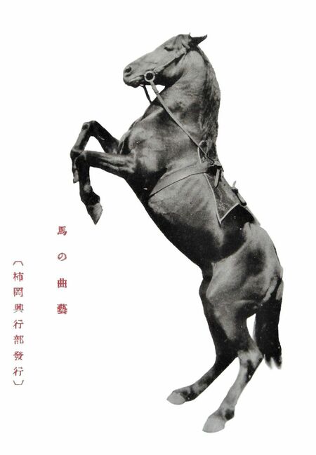 柿岡大曲馬団が、宇都宮公演でお土産にした絵はがき