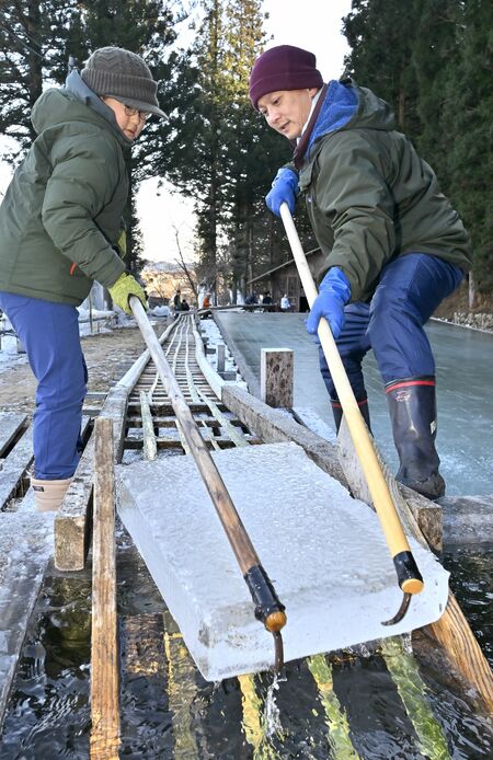 分厚い天然氷を製氷池から引き上げる協力者＝16日午前９時10分、日光市御幸町