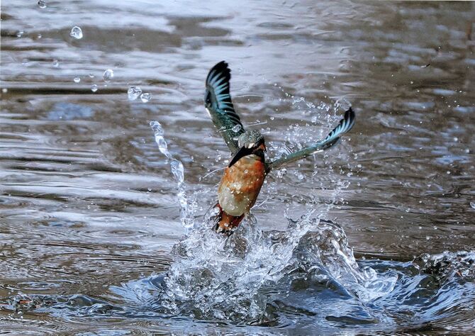 「水飛沫」佐藤重男（宇都宮）