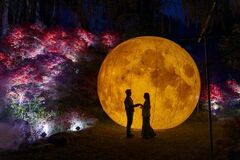 糸島の春を彩る新たな夜の観光コンテンツ