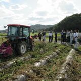 益子町さつまいも研究会など　生産拡大へ、収穫実演会　効率化の課題確認
