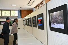 個性光る四季の写真