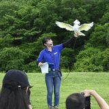 那須どうぶつ王国でトークイベント　オウムやインコが登場　華麗な会話を披露